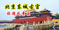 操bxx视频中国北京-东城古宫旅游风景区